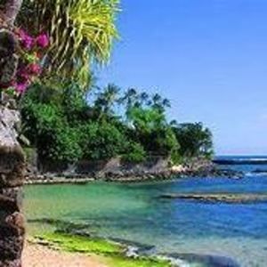 Meet your Posher, Debra